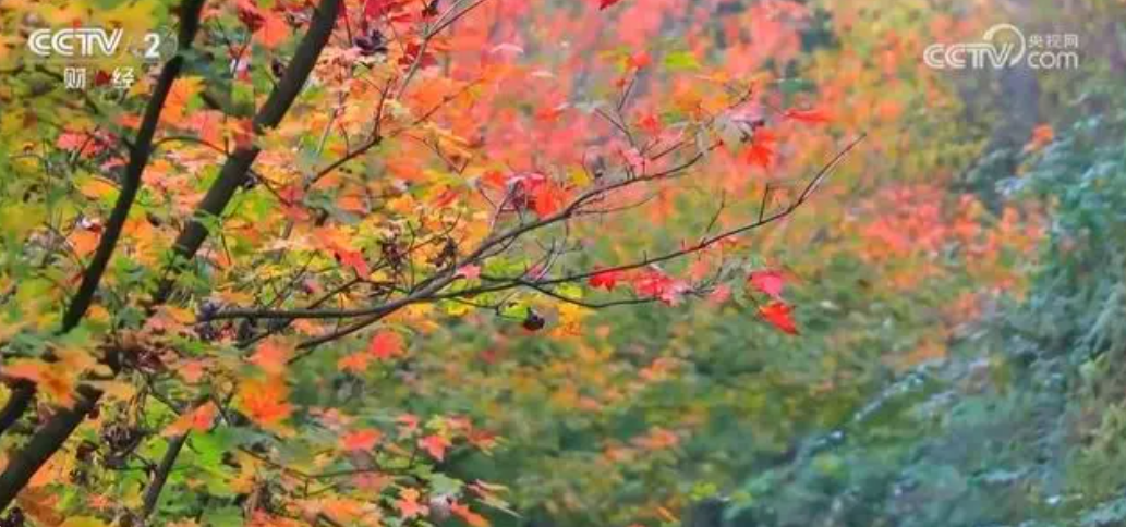 微信圖片_20241115093148 微信圖片_20241115093148