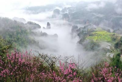 候鳥的選擇，彰顯湖南生態(tài)系統(tǒng)持續(xù)優(yōu)化